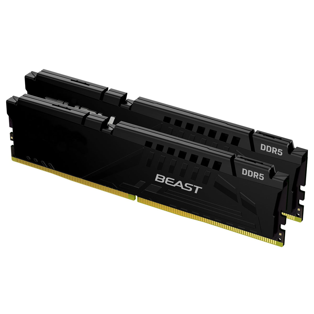 Beast Vengeance DDR5 16GB 32GB 64GB 48G 16G*2 32G*2 24G*2 32G*2 CL30 CL32 CL34 CL36 CL38 CL40 6400 6600 6800 8400 RGB Memory Ram