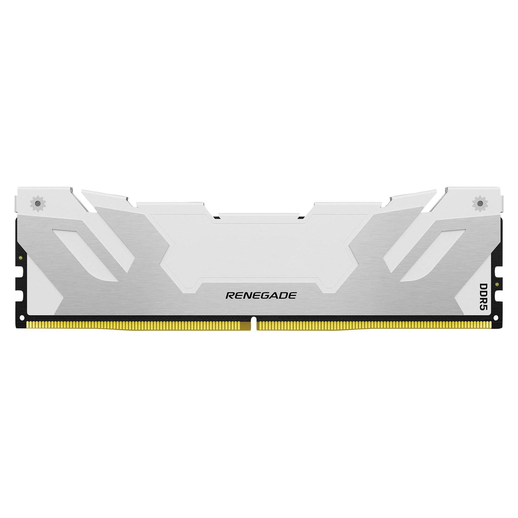 Beast Vengeance DDR5 16GB 32GB 64GB 48G 16G*2 32G*2 24G*2 32G*2 CL30 CL32 CL34 CL36 CL38 CL40 6400 6600 6800 8400 RGB Memory Ram