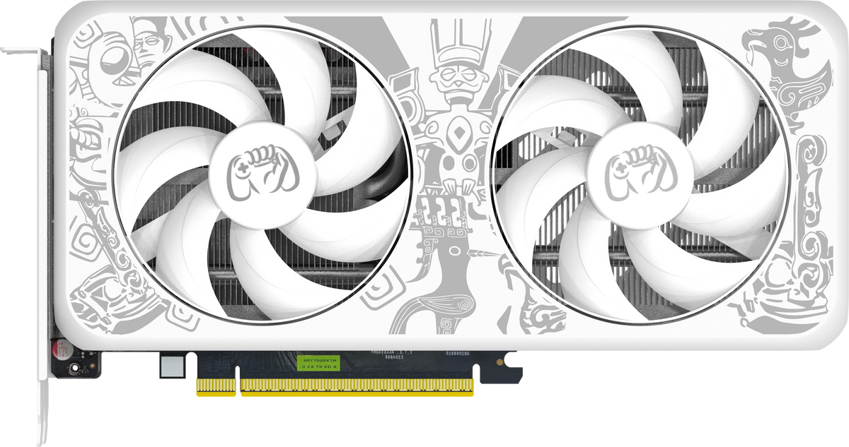 AX Graphics Cards GeForce RTX5060 8G X2W OC