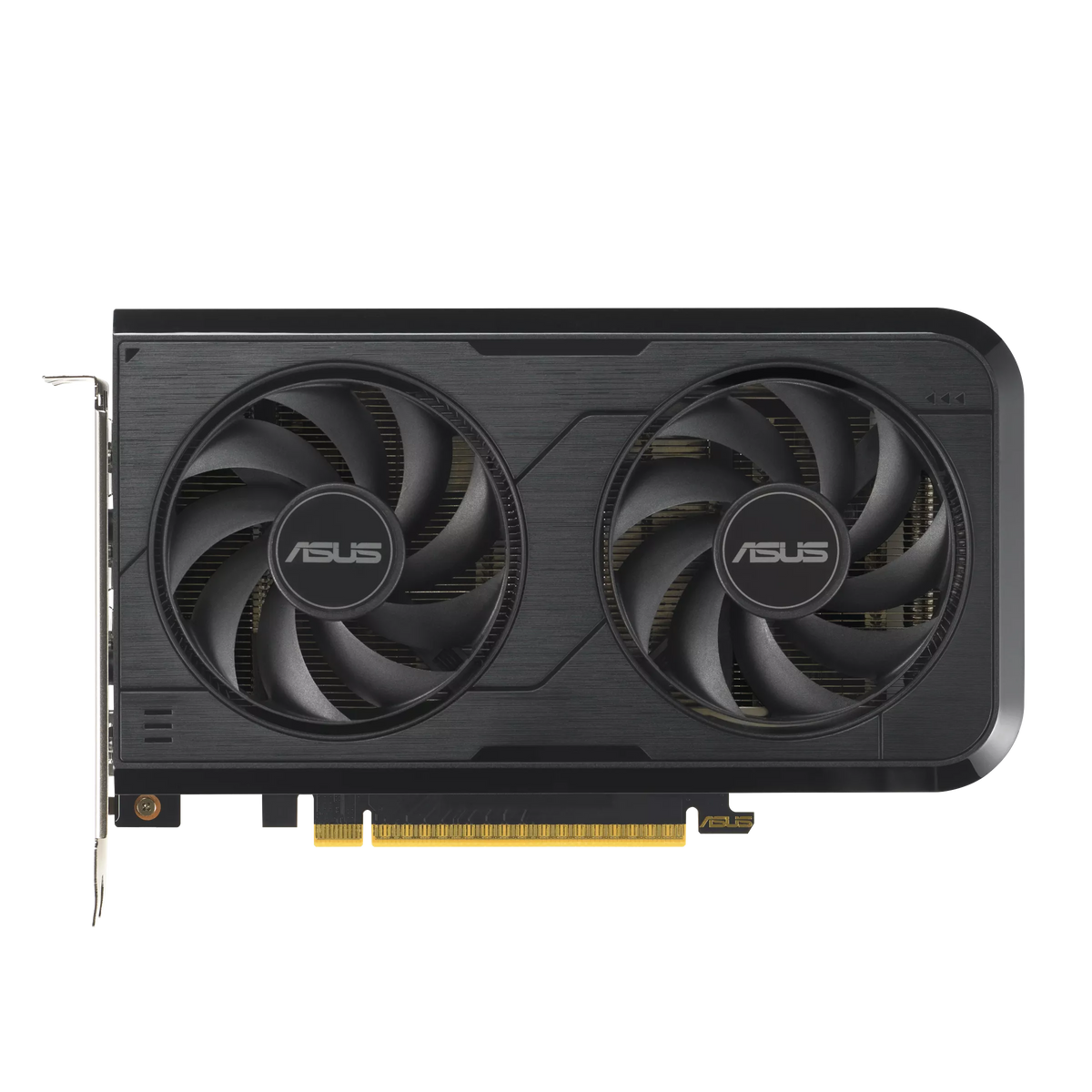 ASUS Graphics Card ASUS Prime GeForce RTX 5050 8GB GDDR6 OC Edition ASUS Dual GeForce RTX 5050 8GB GDDR6 OC Edition